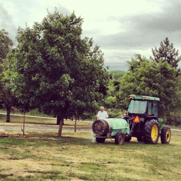 He Just Can't Stay Away!