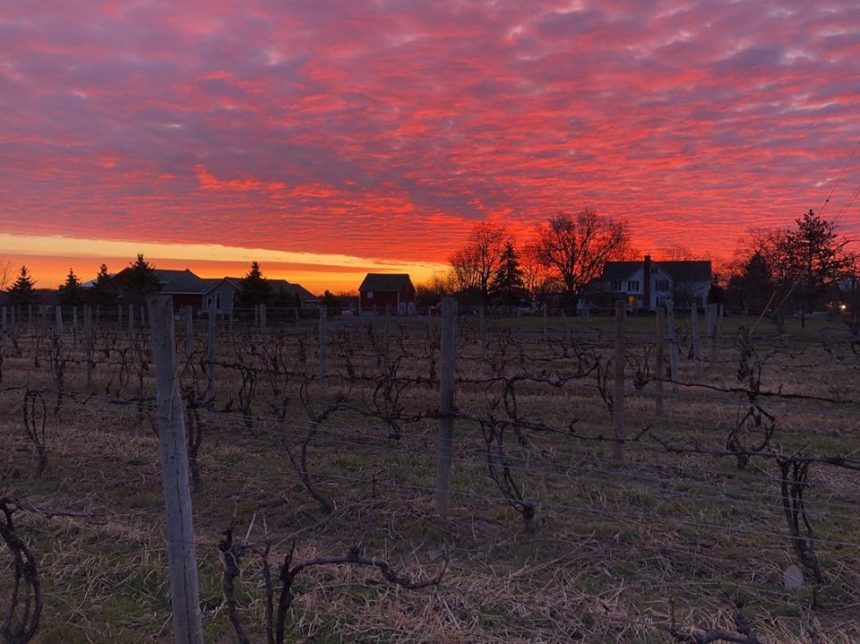 56857591_2104411772969302_3120245800119042048_n