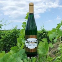 LONG CLIFF VINEYARD
& WINERY logo